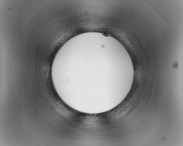 X0000090740458200708172011