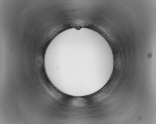 X0000090740459200708172011