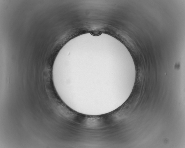 X0000090740461200708172011