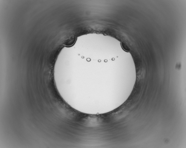 X0000090740464200708172011