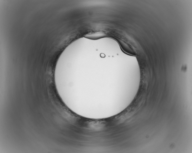 X0000090740465200708172011