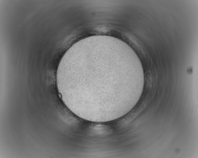 X0000090740467200708172011