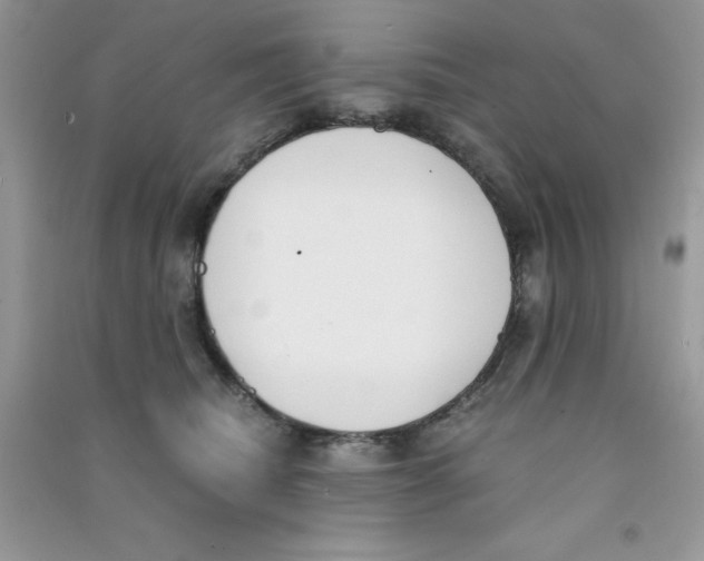 X0000090740468200708172011