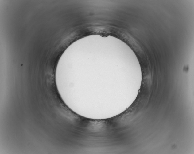 X0000090740469200708172011