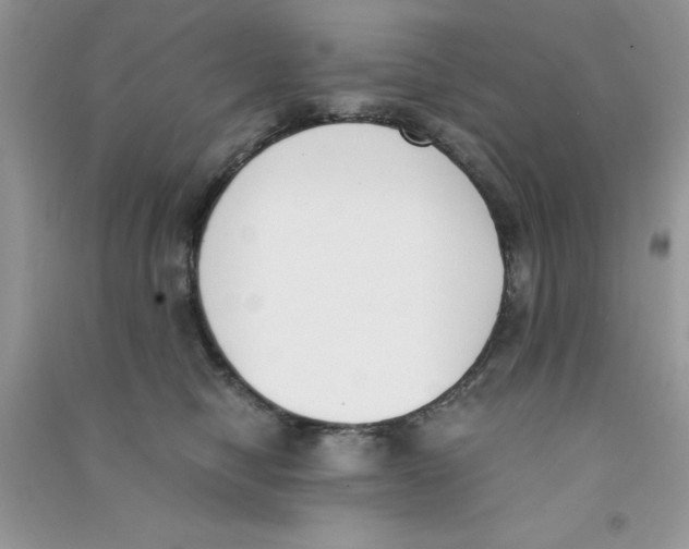 X0000090740470200708172011