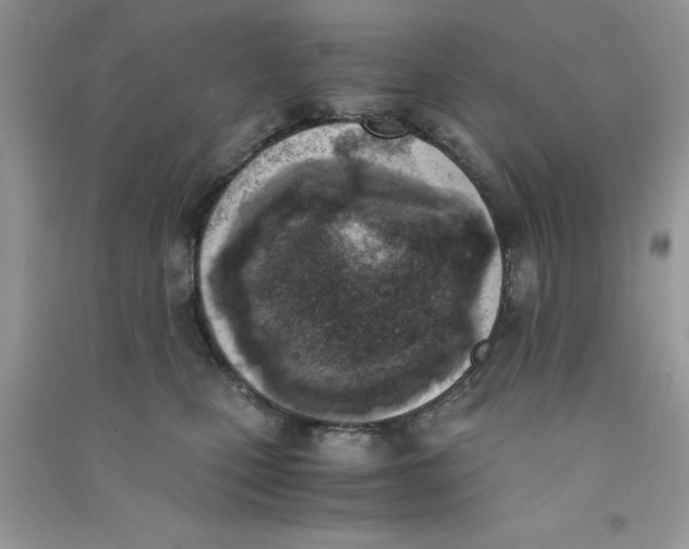 X0000090740471200708172011