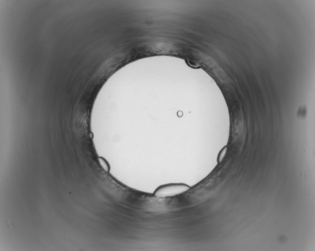 X0000090740473200708172011