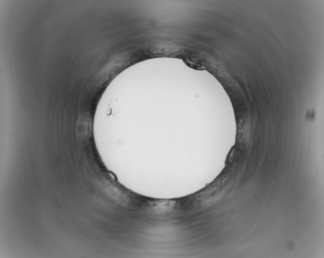 X0000090740474200708172011