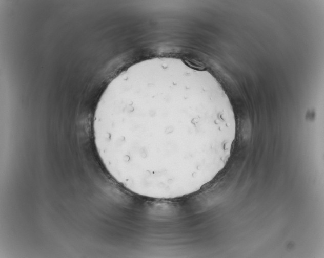 X0000090740475200708172011