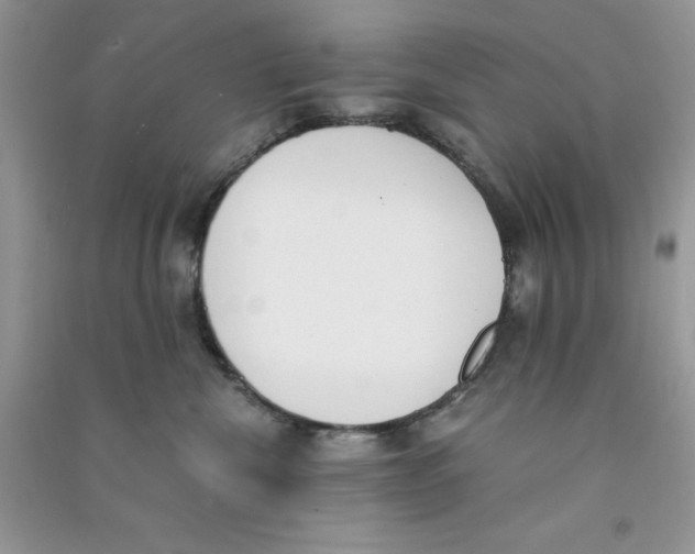 X0000090740476200708172011