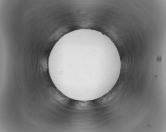 X0000090740479200708172011