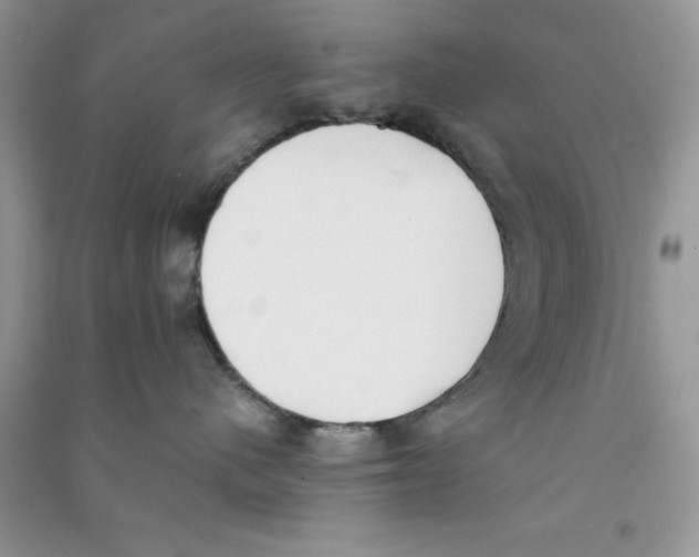 X0000090740480200708172011