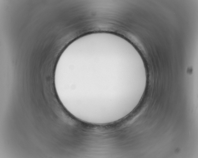 X0000090740481200708172010