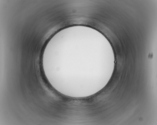 X0000090740482200708172010