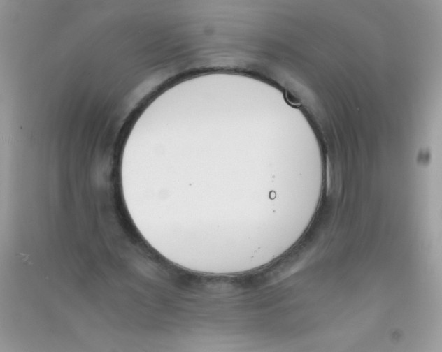 X0000090740483200708172010