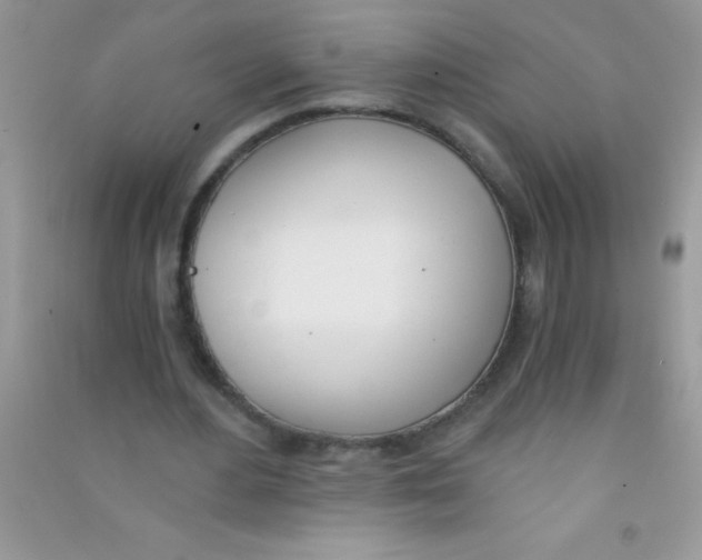 X0000090740484200708172010