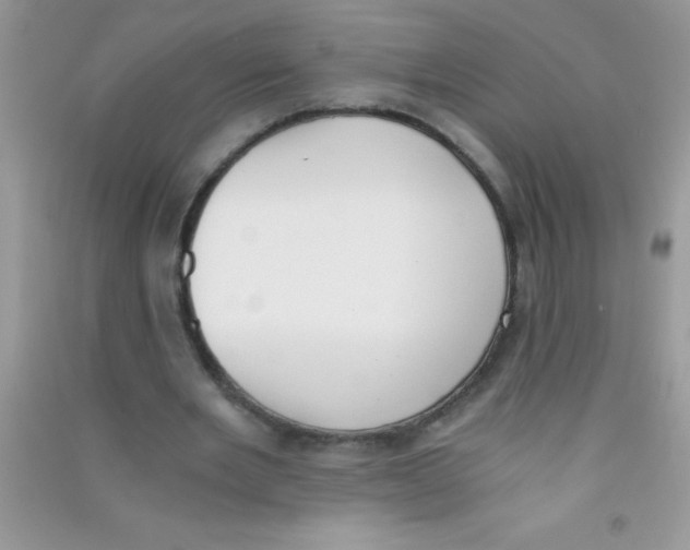 X0000090740485200708172010