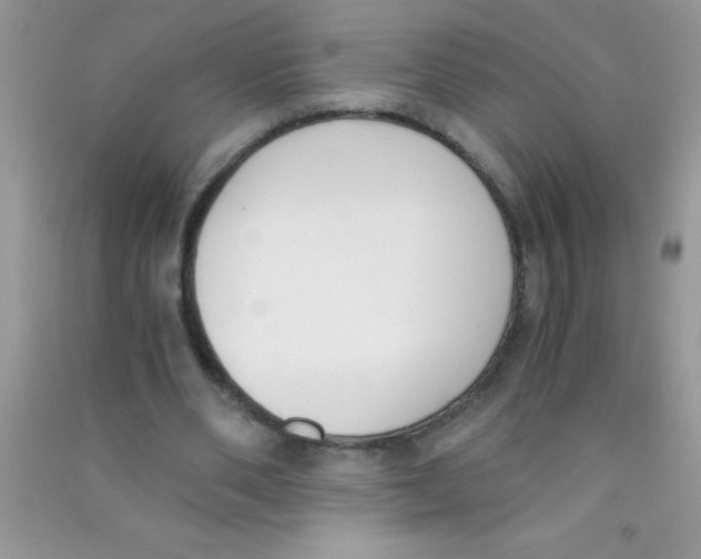 X0000090740486200708172010