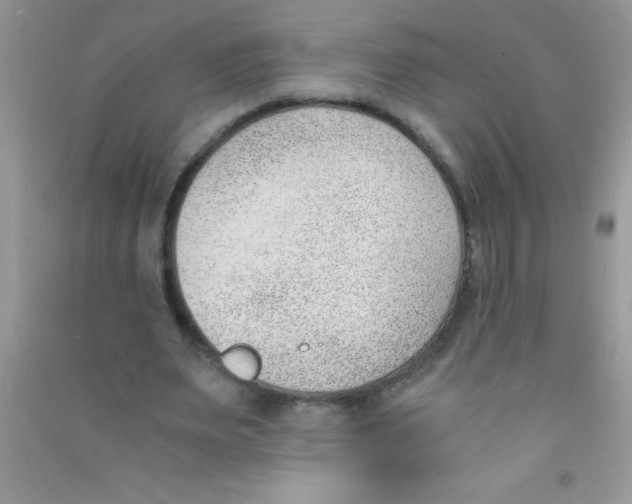 X0000090740487200708172010