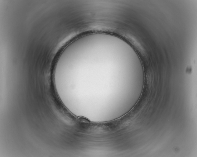 X0000090740488200708172010