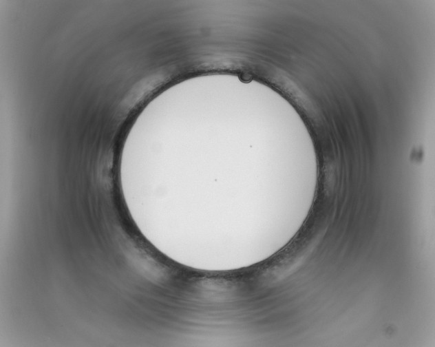 X0000090740490200708172010