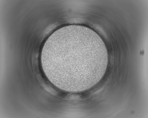 X0000090740491200708172010