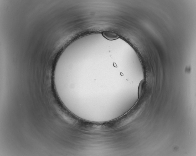 X0000090740493200708172010