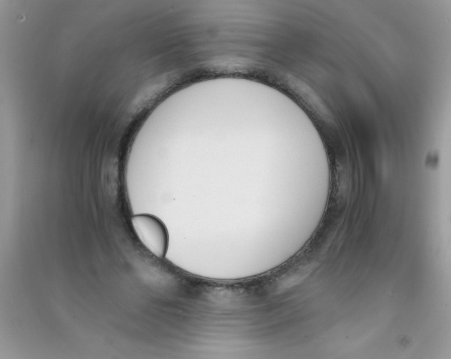 X0000090740494200708172010