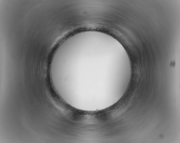 X0000090740496200708172010