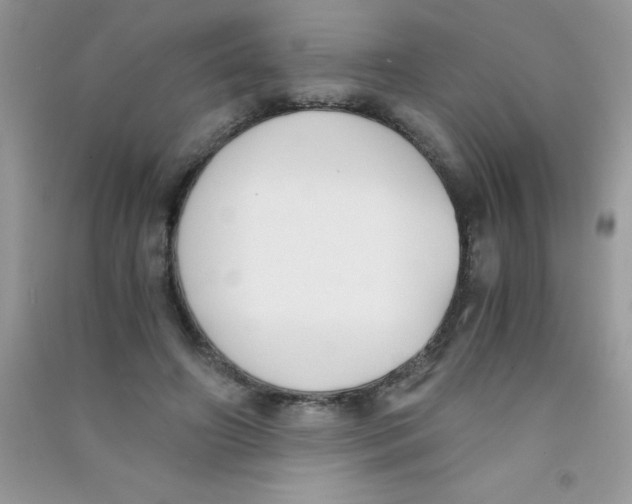 X0000090740498200708172010