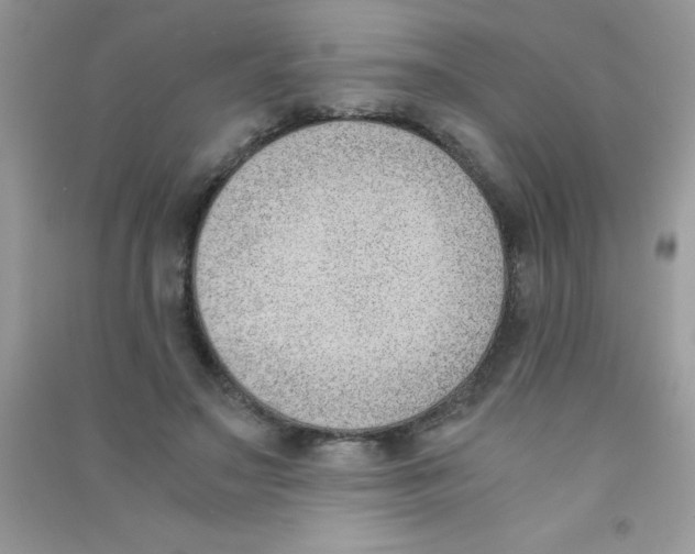 X0000090740499200708172010