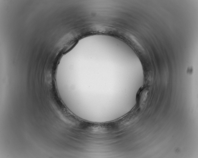 X0000090740500200708172010