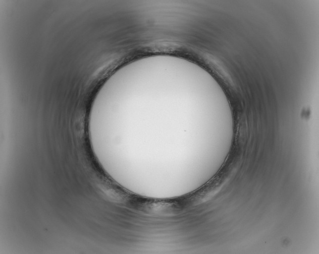 X0000090740501200708172010