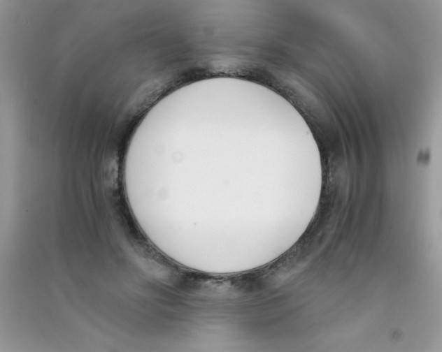 X0000090740502200708172010