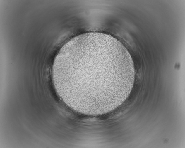 X0000090740503200708172010