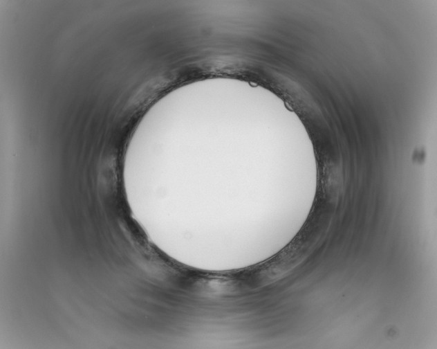 X0000090740506200708172010