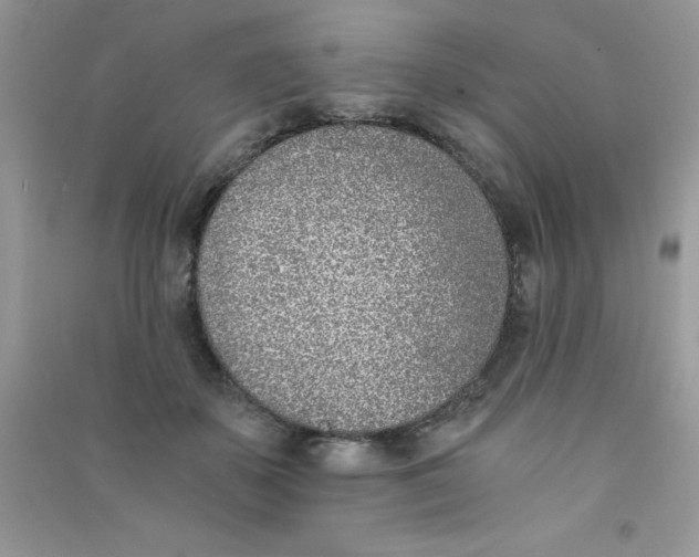 X0000090740507200708172010