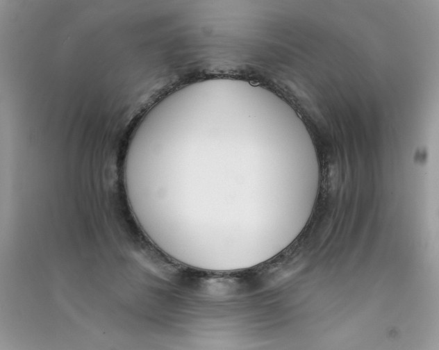 X0000090740508200708172010