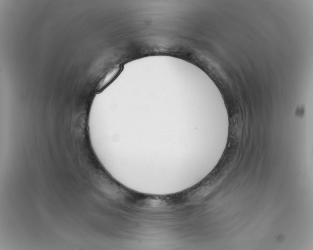 X0000090740509200708172010