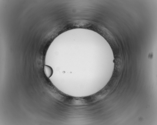 X0000090740510200708172010