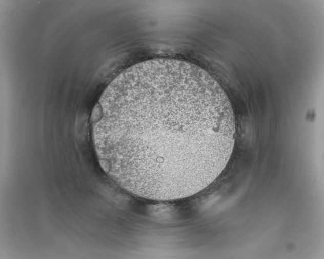 X0000090740511200708172010