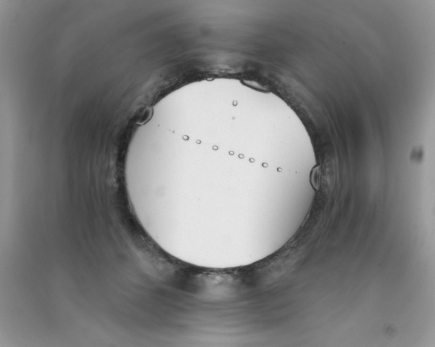 X0000090740512200708172010