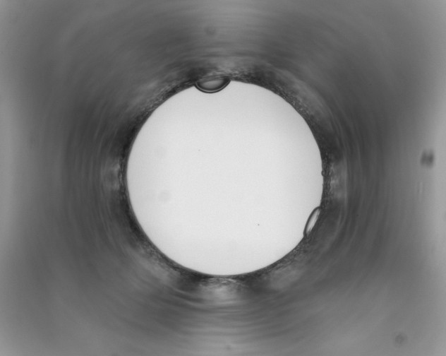 X0000090740514200708172010