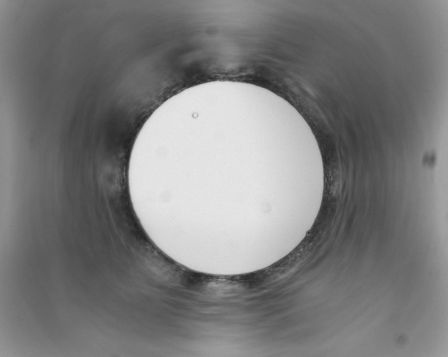 X0000090740515200708172010