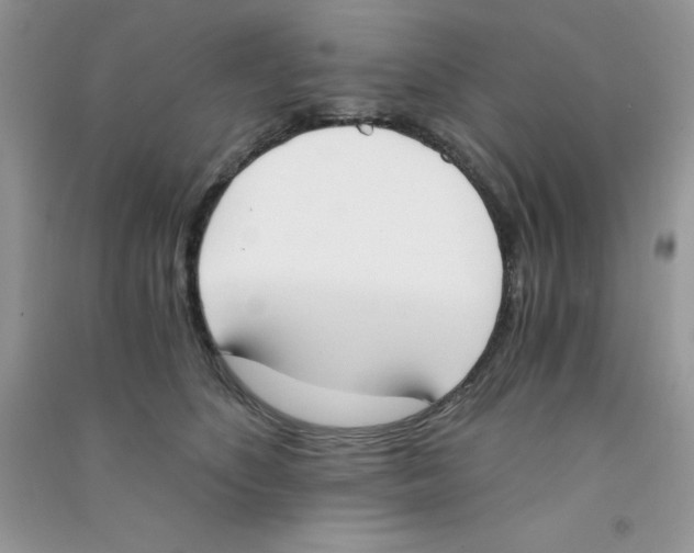 X0000090740516200708172010