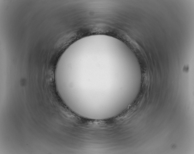 X0000090740517200708172010