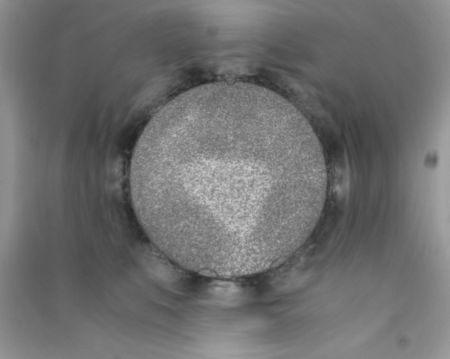 X0000090740519200708172010