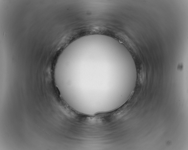 X0000090740520200708172010