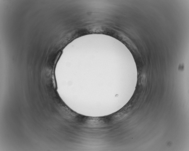 X0000090740521200708172010