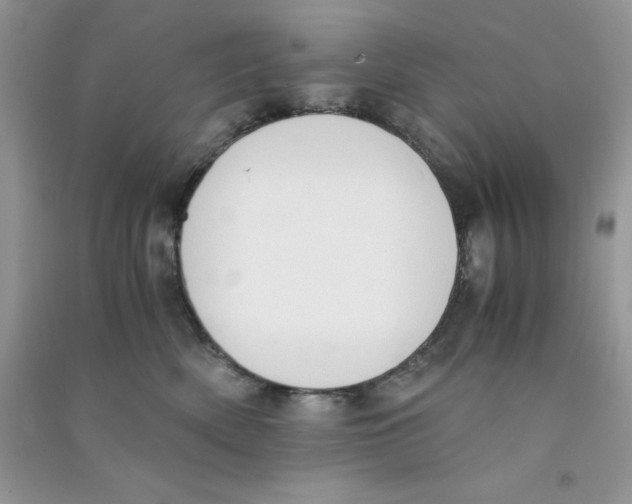 X0000090740522200708172010